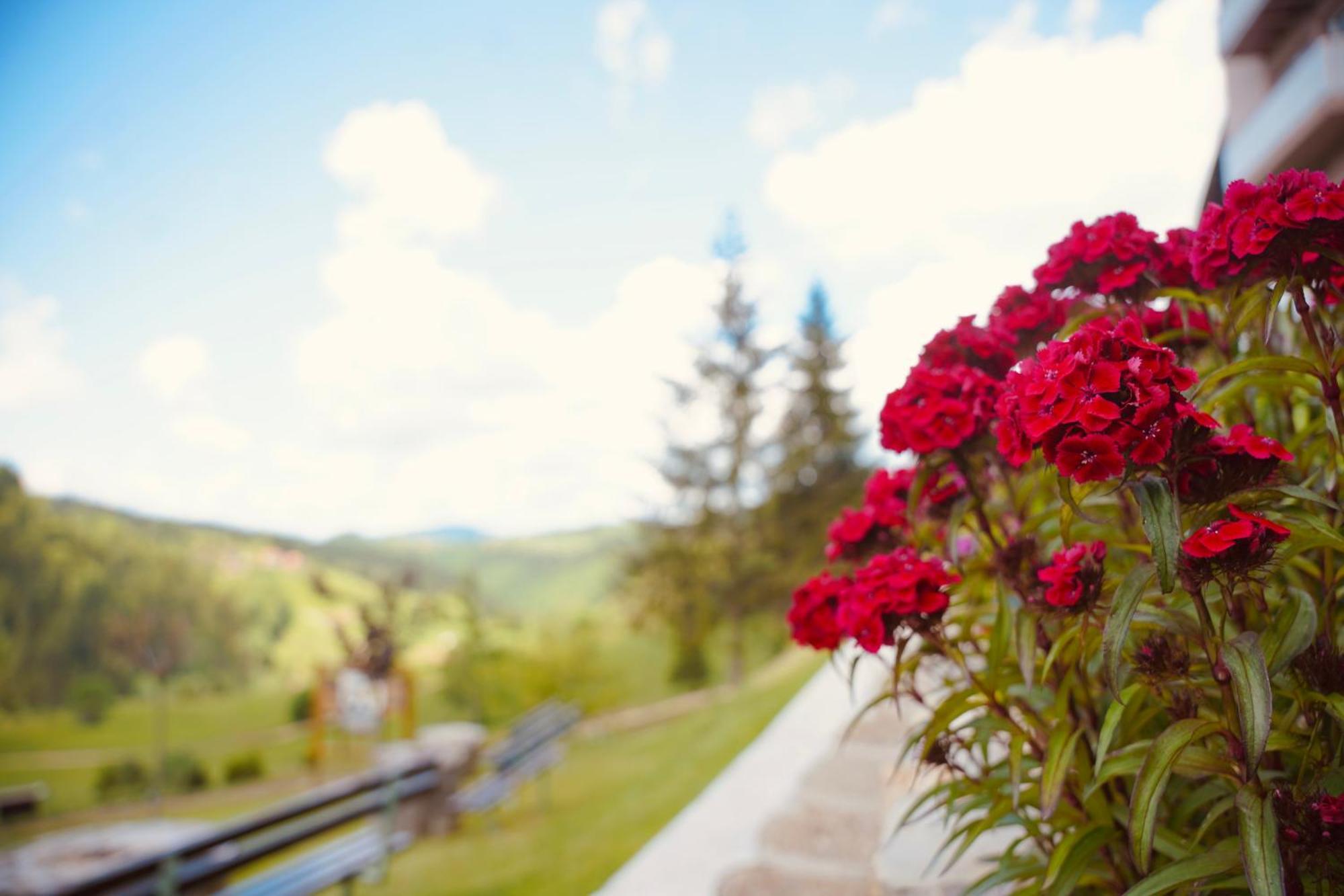 Zlatarska Kruna Nova Varos Bagian luar foto